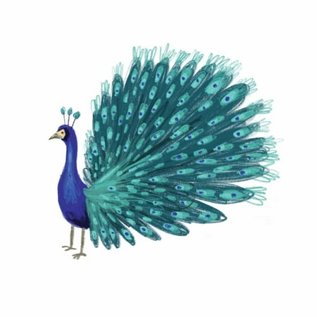 Tattly Temporary Tattoos - Blue Peacock - Set of