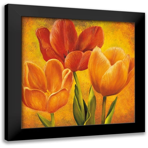 Pedersen, David 12x12 Black Modern Framed Museum Art Print Titled - Orange Tulips I