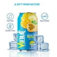thumbnail image 3 of VINUT Mixed Fruit Juice, Passion Fruit, Pineapple, Banana, Mango,100% freshly squeezed, Not from Concentrate, (11.1 fl oz-Pack of 6), free from Gluten, GMO, any artificial preservatives, flavor, 3 of 6