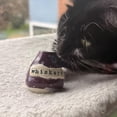 thumbnail image 4 of Hand‑Thrown Whiskers Keepsake Vase,Ceramic Cat Whisker Holder, Mini Handmade Pottery Pet Memorial Jar, for Shed Whiskers and Fur Decorative Small Bud Vase for Cat Lovers (B), 4 of 9