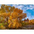 thumbnail image 2 of Fitzharris, Tim 32x25 White Modern Wood Framed Museum Art Print Titled - Courthouse Towers from Courthouse Wash-Arches National Park-Utah, 2 of 4