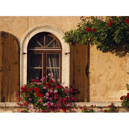 Shutters Window Boxes - Window with Shutters and Window Box, Italy, Europe Print Wall Art By Hart Kim
