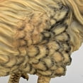 thumbnail image 4 of Bits and Pieces 17" Tall Farmhouse Chicken Garden Statues, Hand-Painted, Durable, Weather-Resistant, Life-Sized, 4 of 5