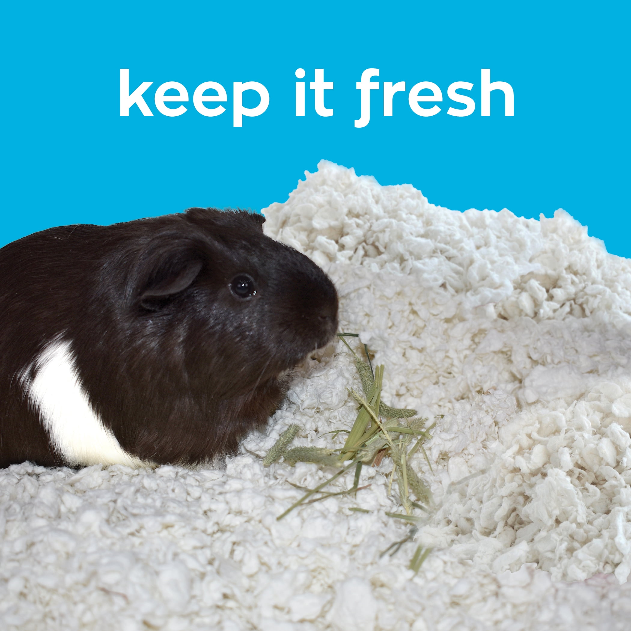 Get the best pet supplies online and in store! carefresh natural paper small pet bedding dust free white 50l