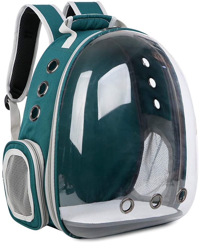 pet backpacks