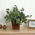 thumbnail image 4 of Nearly Natural 17" Puff Ivy with Coiled Rope Planter Polyester Artificial Plant, Green, 4 of 4