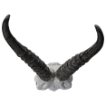 thumbnail image 3 of Polystone Springbok Skull with Antler Horns on Metal Stand Home Decorative Accent Faux Taxidermy Animal Trophy 29.5 in, 3 of 7