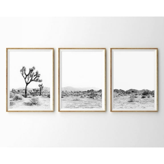 Luvia Set Of 3 Prints Desert Joshua Tree Black And White Prints Boho Decor Desert Art Poster Print, Modern Wall Decor Set 3 Prints 8x12 UNFRAMED