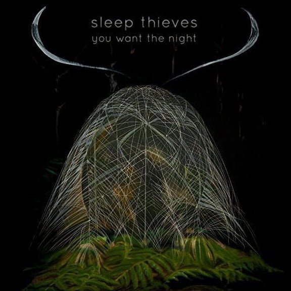 Sleep Thieves - You Want the Night - Pop Rock - Vinyl