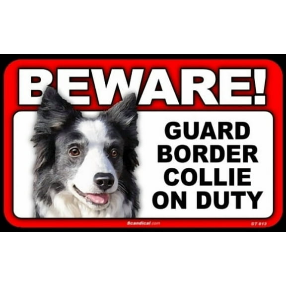 Beware Guard Dog On Duty Sign - Border Collie
