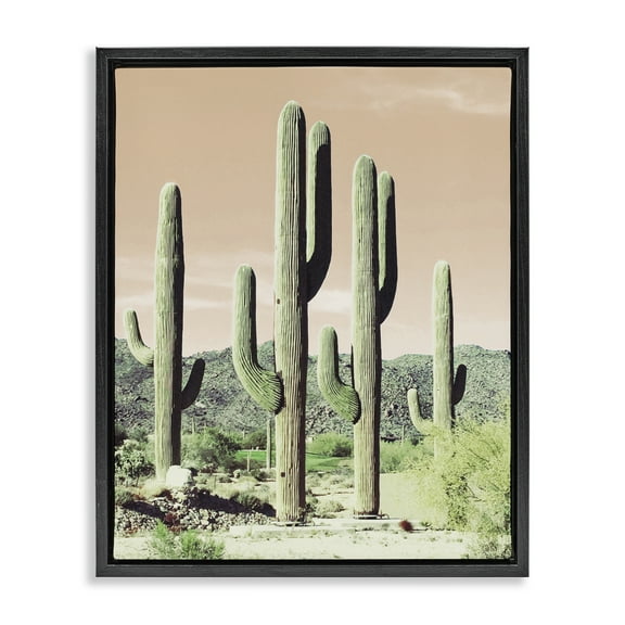 Stupell Industries Sunrise Cactus Scene Landscape & Nature Photography Black Floater Framed Canvas Art Print Wall Art, 17 x 21