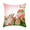 AX27371, variant on Print Pattern Peach Pillowcase Cushion