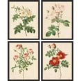 thumbnail image 3 of PixonSign Framed Wall Art, Vintage Colorful Wildflower Posters, Set of 4 Variety Floral Wall Decor Prints, Nature Flower Market Wall Décor for Living Room, Bedroom, Framhouse - 8"x10" Black, 3 of 5
