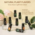 thumbnail image 3 of Plant Diffuser Essential Oil Pure Natural Therapeutic Grade Aromatherapy10m GXX, 3 of 8