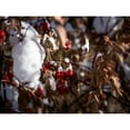 thumbnail image 4 of Hasselblad 77mm Double-Sided Nano Coating 3-Stop ND8 Filter, 4 of 7