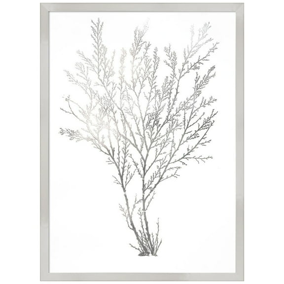 Amanti Art Grey Algae I Wood Framed Wall Art Print