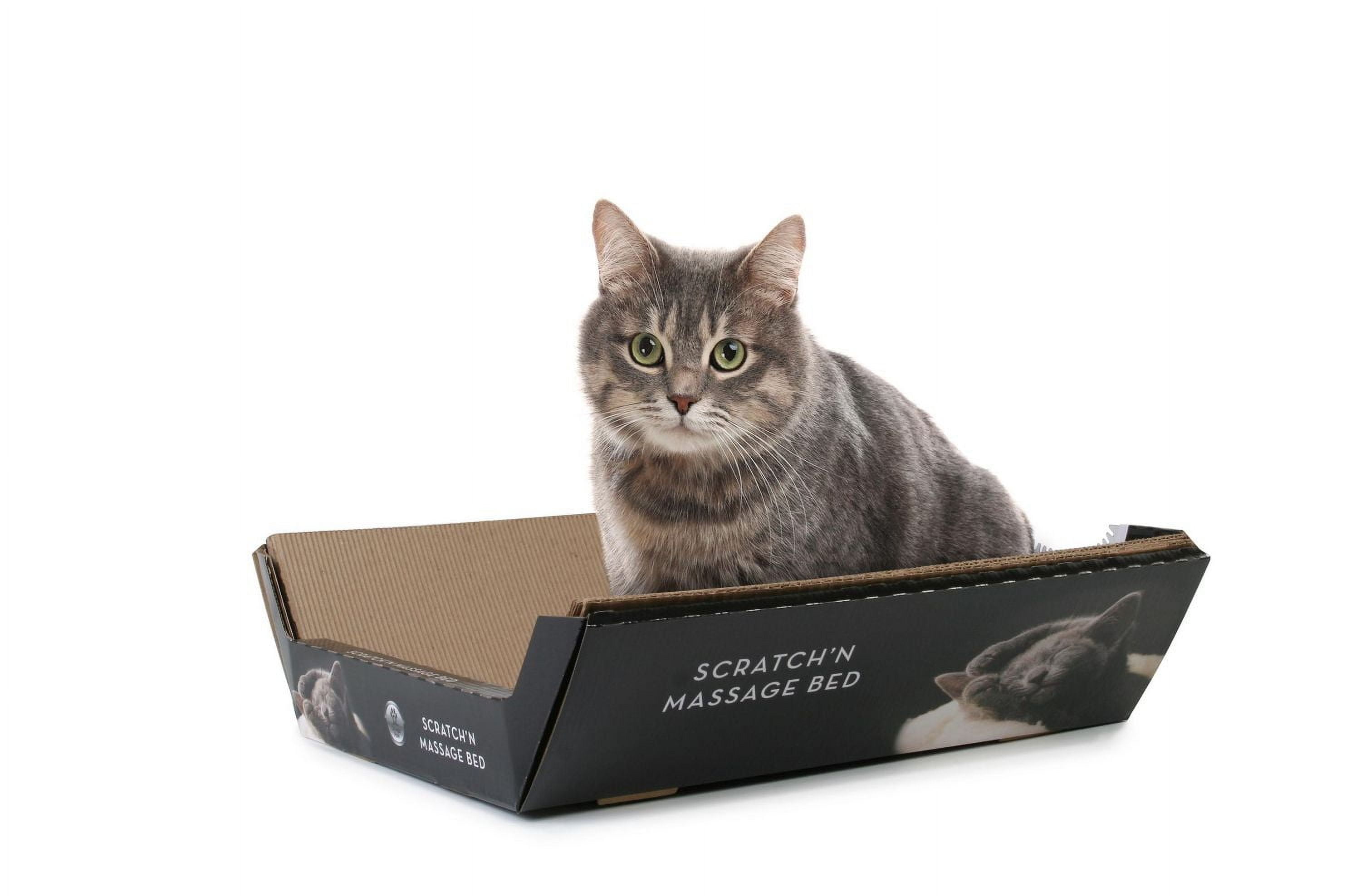 Ripple Board Scratch and Massage Bed Cat Scratcher 16" x 16" x 5"