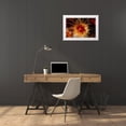 thumbnail image 3 of Factor, Beverly 24x17 White Modern Wood Framed Museum Art Print Titled - Bewitched - Menado, Indonesia, 3 of 4