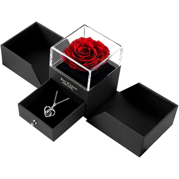 Preserved Red Real Rose with I Love You Necklace in 100 Languages - Preserved Rose Gift Jewelry Box, Never Withered Roses Gifts Pack, for Love Ones on Mother's Day Valentine's Day Anniversary Birthday
