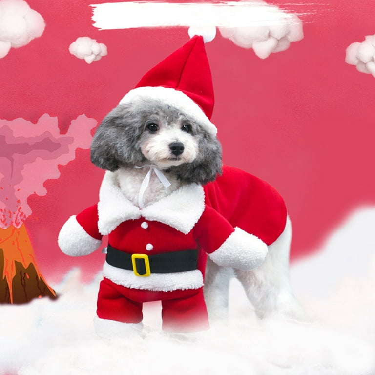 Large dog cheap santa costume