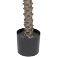 thumbnail image 6 of Northlight Artificial Potted Palm Trees - 6' - Set of 2, 6 of 6