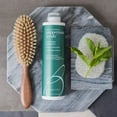 thumbnail image 6 of Brocato Peppermint Scrub Purifying Shampoo, Deep Cleansing, 32 Oz. | Fresh, Invigorating, & Lightweight with Pure Peppermint Oil | Ideal for Oily to Normal Hair Types | Sulfate & Paraben Free, 6 of 8