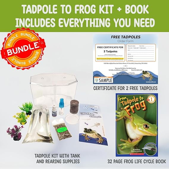 Nature Gift Store Live Tadpole to Frog Kit, Complete Habitat with Nature Gift Store Live Tadpole to Frog Kit, Complete Habitat with