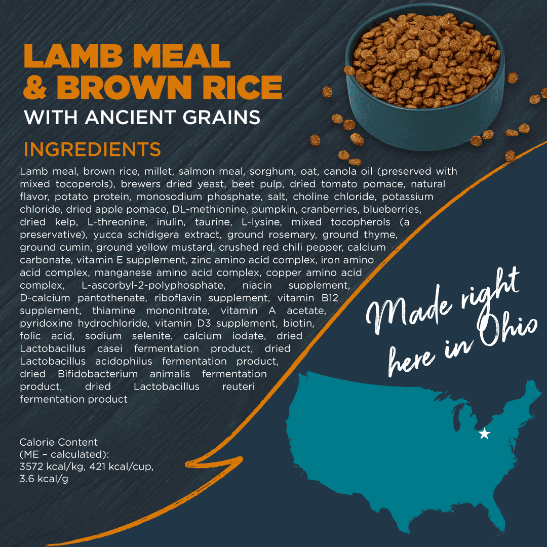 Blackwood Dry Dog Food for Sensitive Skin & Stomach, Lamb Meal with Ancient Grains, 24 lb.