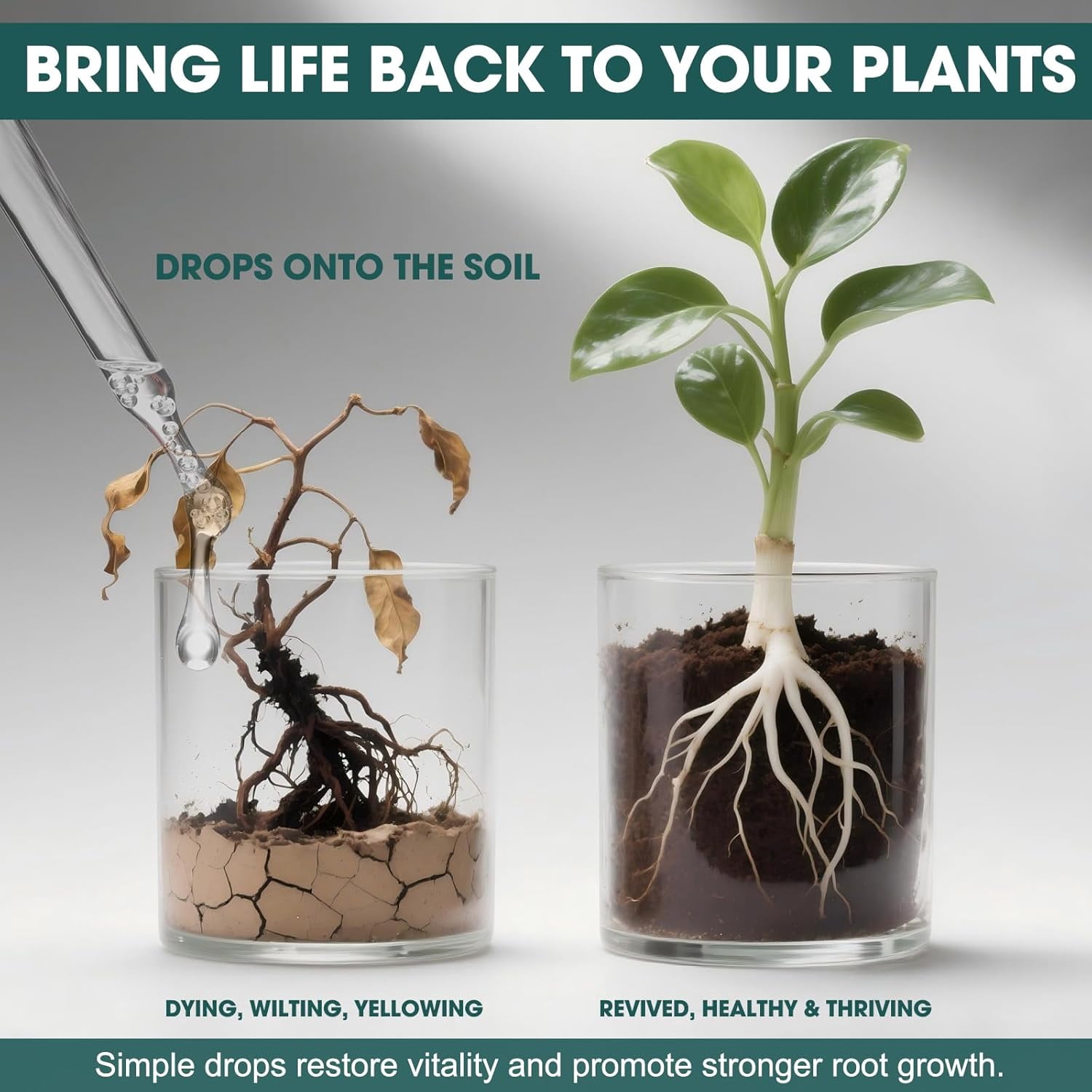 Liquid Rooting Hormone for Cuttings – Fast Root Growth Solution for Water & Soil | Plant Propagation Drops for Houseplants, Pothos & Monstera (4.06 oz)