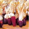 thumbnail image 2 of TomorrowSeeds - Strawberry Popcorn (Ornamental Corn) Seeds - 50+ Count - For 2026 Planting Red Mini, 2 of 8