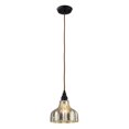 thumbnail image 1 of Elk Lighting Danica Pendant in Oiled Bronze and Mercury Glass, 1 of 3