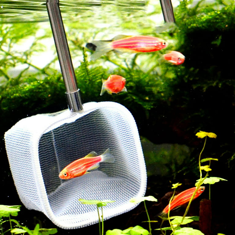 XM Culture Portable Mini Adjustable Telescopic Shrimp Fishing Net