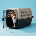thumbnail image 2 of Vibrant Life Small/Medium Hard-Sided Pet Carrier, Black and Gray, 25 lb Limit, 2 of 11