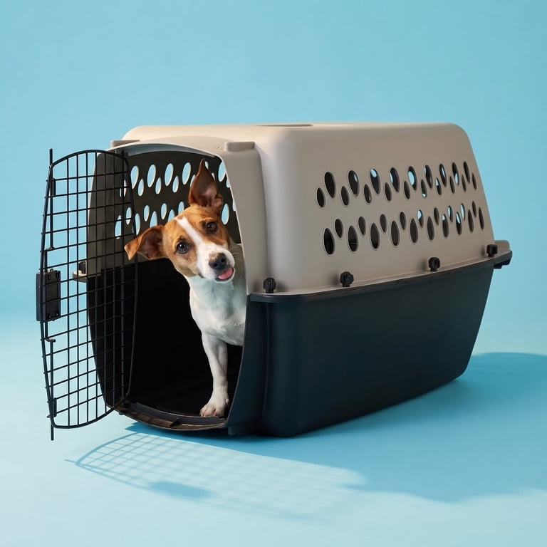 Vibrant Life Small/Medium Hard-Sided Pet Carrier, Black and Gray
