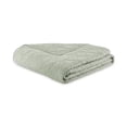 thumbnail image 2 of Beautiful 100% Cotton Floral Stitched Sage Green Quilt, Full/Queen by Drew Barrymore, 2 of 9