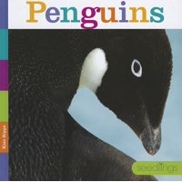 Penguins