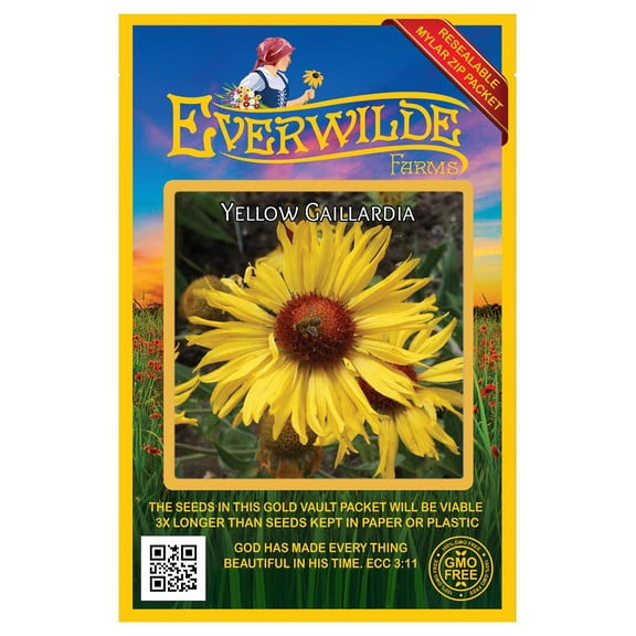 Everwilde Farms - 500 Yellow Gaillardia Native Wildflower Seeds - Gold Vault Jumbo Bulk Seed Packet