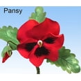thumbnail image 2 of Pansy Leaf Veiner by WSA, 2 of 5
