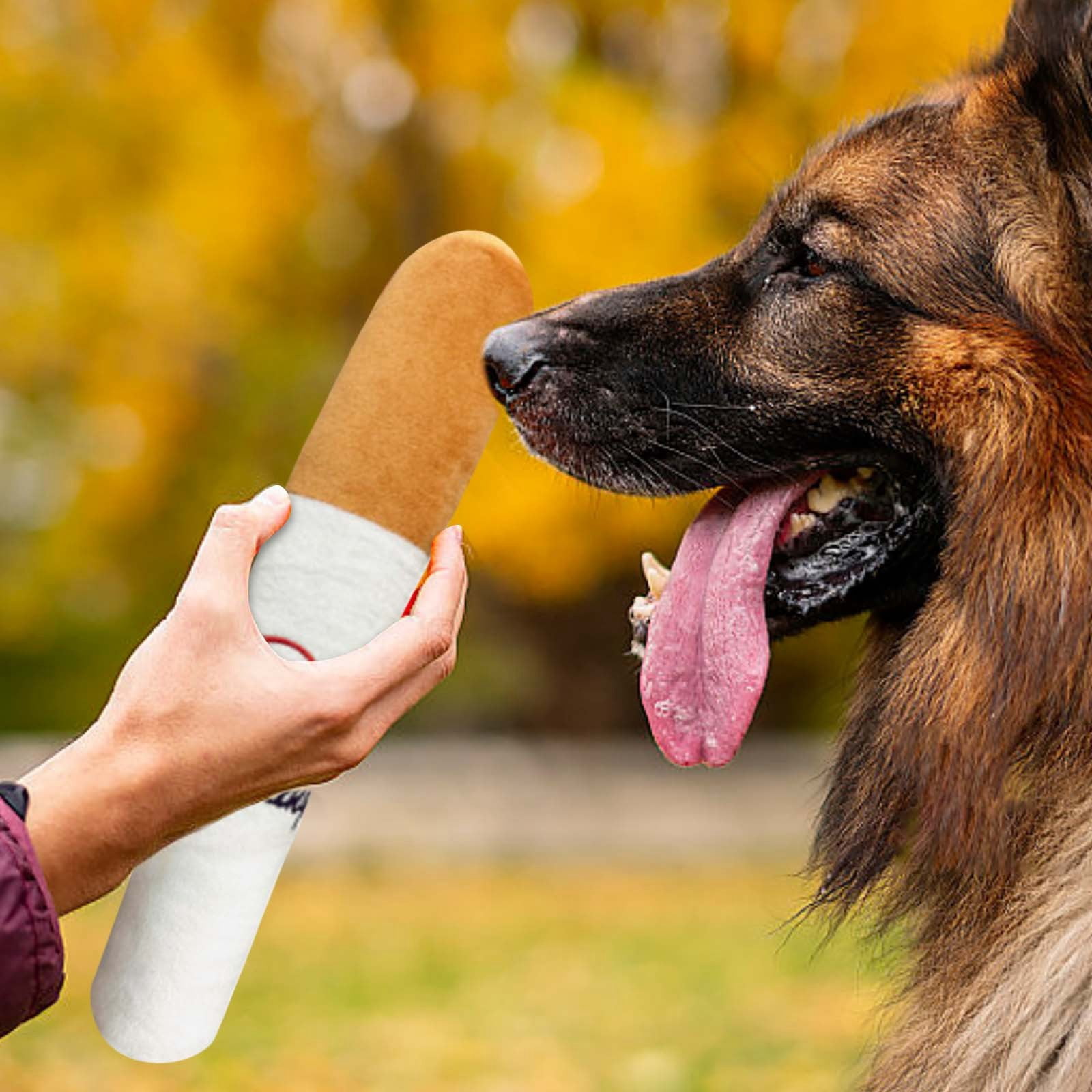 WIFKLSIIPG Dog Toy Squeaky Dog Toys Novelty Dog Toy Squeaky Toys Interactive Dog Toy Chewing Pet Toy for Small Medium Large Dogs