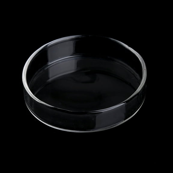 UNTERING Feeding Bowl Aquarium Shrimp Dish High Acrylic Feeder for Bottom Feeding Fish Food Bowl 2.4x0.6 Inches Round Tray