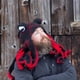 thumbnail image 2 of Gorro tejido a ganchillo con divertido diseño de pulpo para adulto, 2 of 2