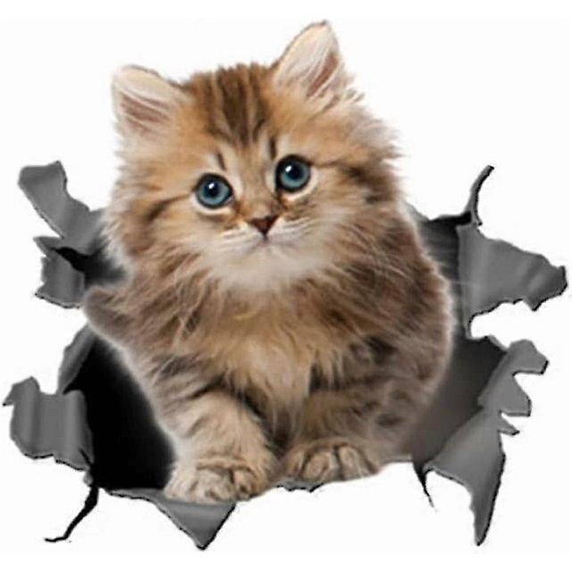 3D Cat Decal Cute Cat Decorative Decal Cat Sticker Animal Theme Sticker Car Decoration Personalized Window Bumper Crack Car Sticker