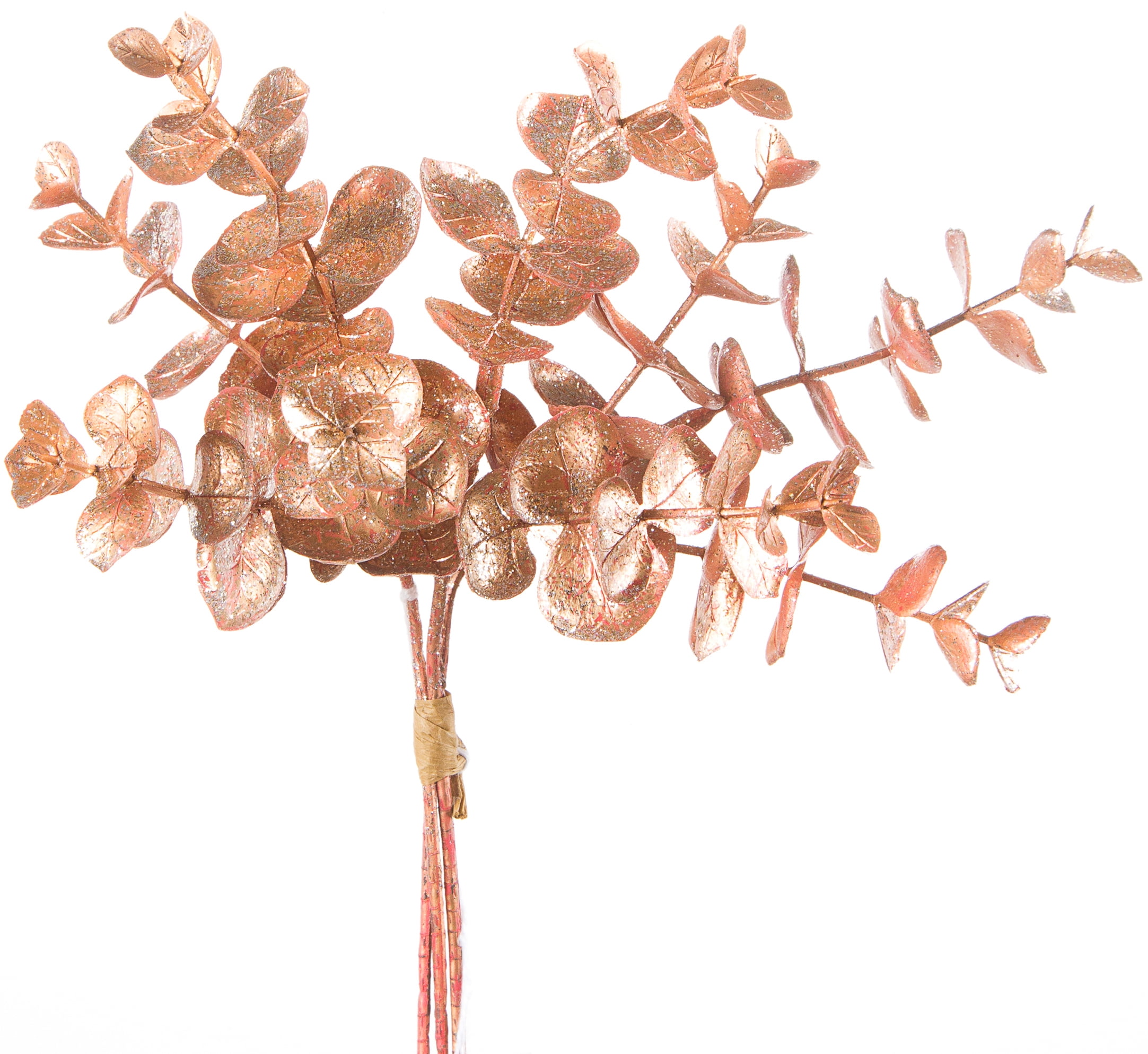 Eucalyptus X3 Pick 9.5"Rose Gold Walmart Canada