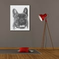 thumbnail image 4 of Epic Graffiti 'French Bulldog 3' by Barbara Keith, Canvas Wall Art, 26"x34", 4 of 8