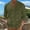 Green, variant on SGFCWSX Men's Shirt Jacket Mandarin Collar Double Breasted Button Front Long Sleeve Side Pocket Casual Coat Khaki Size XL