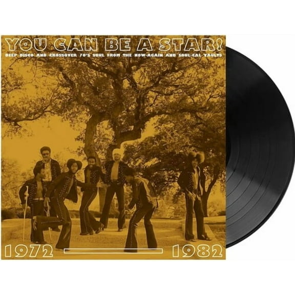 Various Artists - You Can Be A Star: Deep Disco & Crossover 70s Soul From The Now-Again & Soul-Cal Vaults 1972-1982 (Various Artists) - Music & Performance - Vinyl