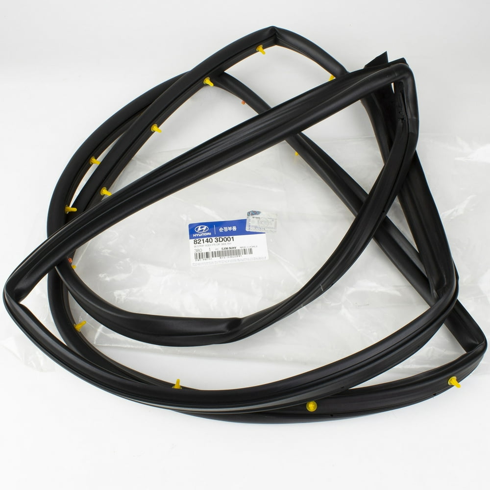 Genuine OEM Hyundai Kia Door Rubber Weatherstrip Seal FR/RH 0205