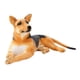 thumbnail image 5 of Precioso perro de peluche, cómodo muñeco de bebé de 30 cm, relleno suave, coche de oficina Estilo D, 5 of 9