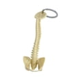 thumbnail image 2 of Llavero con forma de columna vertebral humana en miniatura, modelo de columna vertebral humana de PVC, llavero con colgante para billetera. Amarillo claro, 2 of 8
