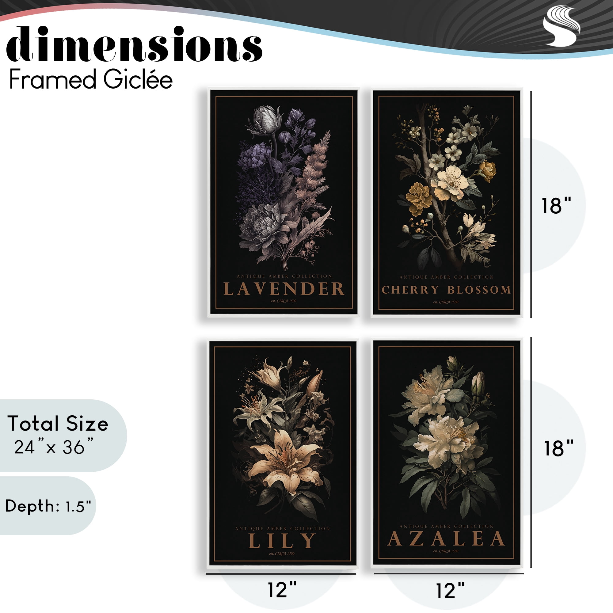 Stupell Industries Antique Varied Botanical Blooms 4 Piece White Framed Giclee Art Set, design by Chris Giampietro